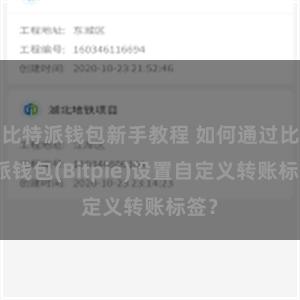 比特派钱包新手教程 如何通过比特派钱包(Bitpie)设置自定义转账标签？