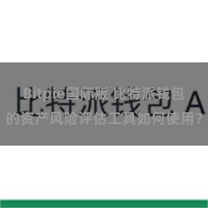 Bitpie国际版 比特派钱包的资产风险评估工具如何使用？